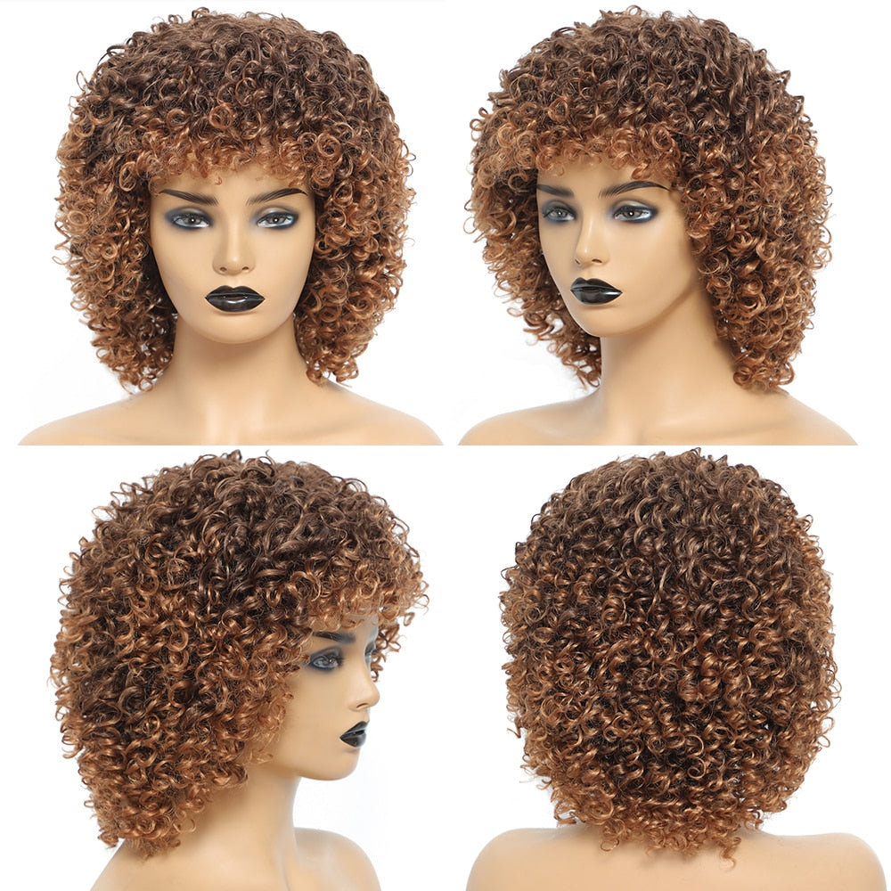 Synthetic Afro Kinky Curly Natural Hair Wig | 3 Colors