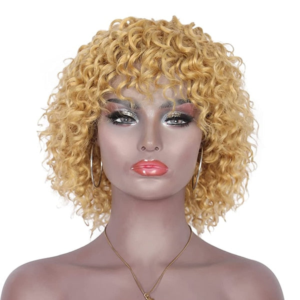 Curly Wig Human Hair